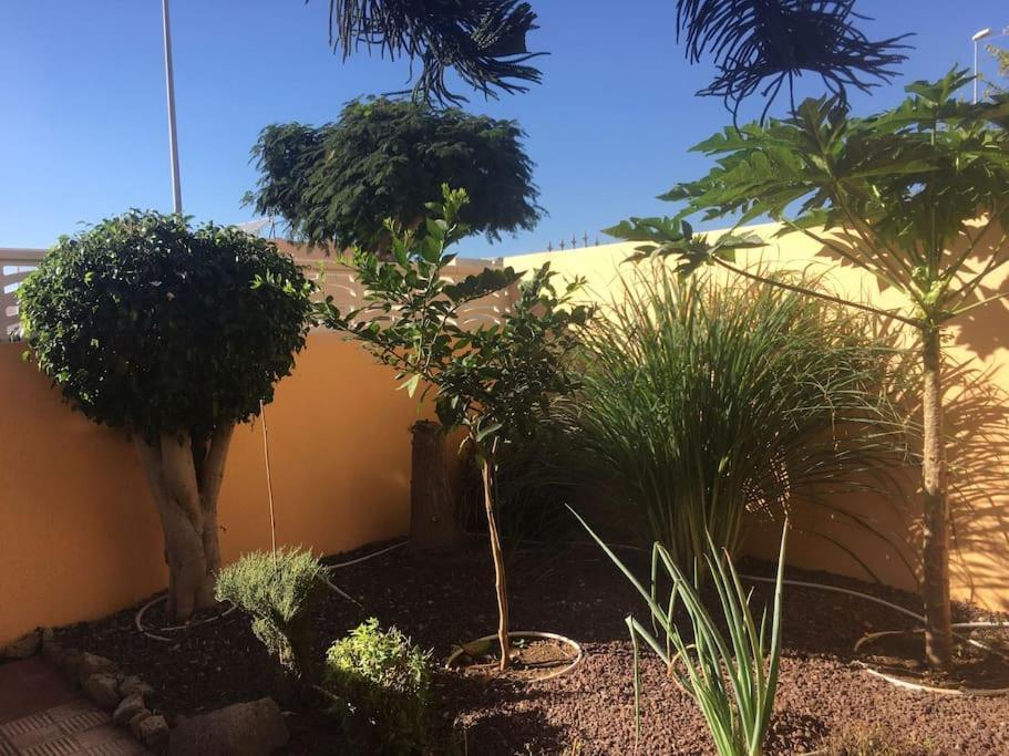 Independiente Estudio En Acogedora Casita De Mai Costa Adeje  Exterior photo