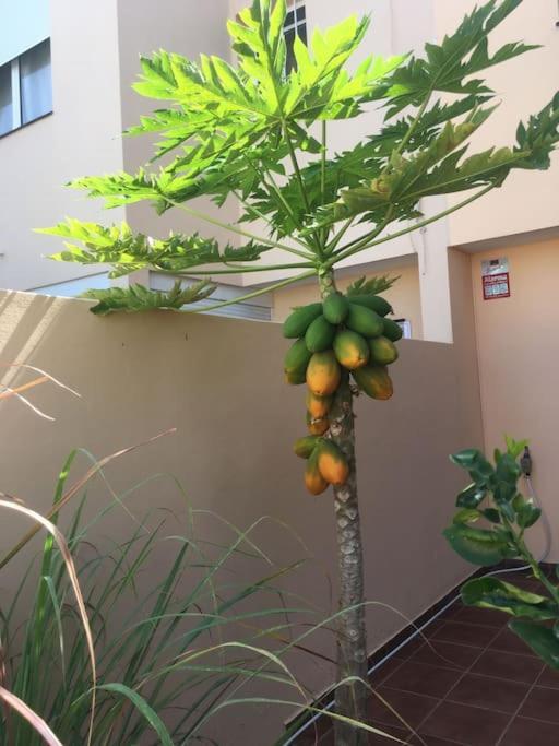 Independiente Estudio En Acogedora Casita De Mai Costa Adeje  Exterior photo