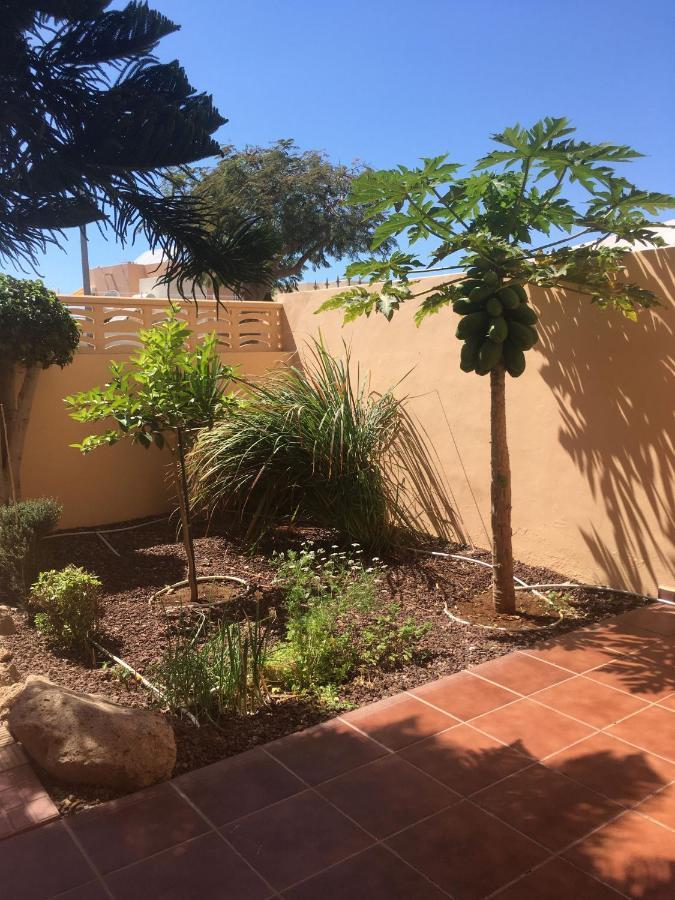 Independiente Estudio En Acogedora Casita De Mai Costa Adeje  Exterior photo